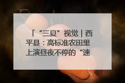 “三夏”视觉｜西平县：高标准农田里上演昼夜不停的“速度与激情”